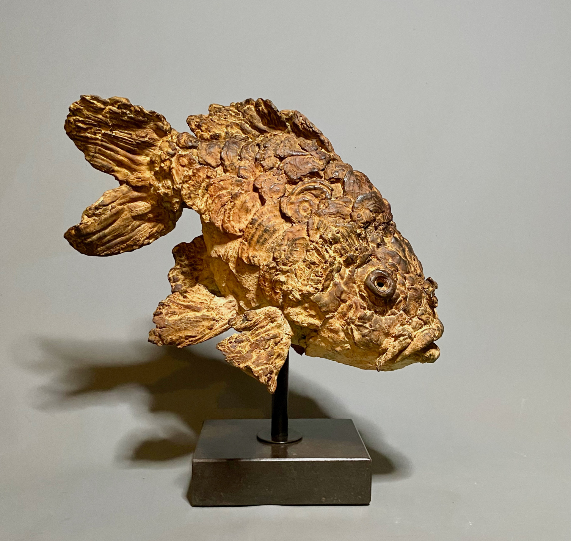 Bavo , bronze with a fossil patina, 40 cm L ,edition of 8+4