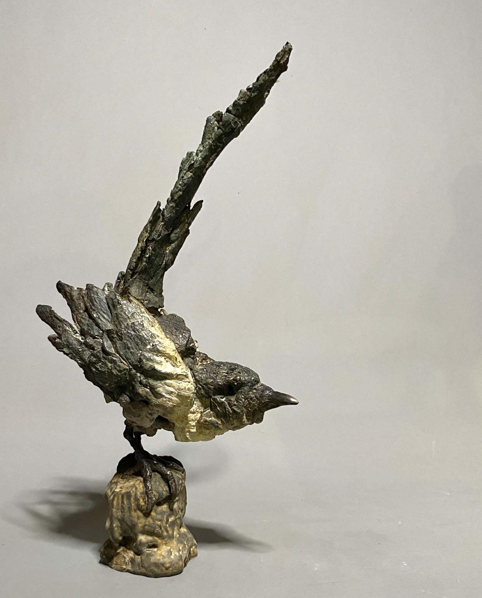 Pica Pica , 41 cm H , bronze with a fossil black and white patina , edition of 8 + 4